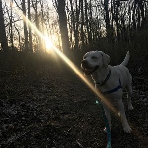 Meet your Posher, Kerry